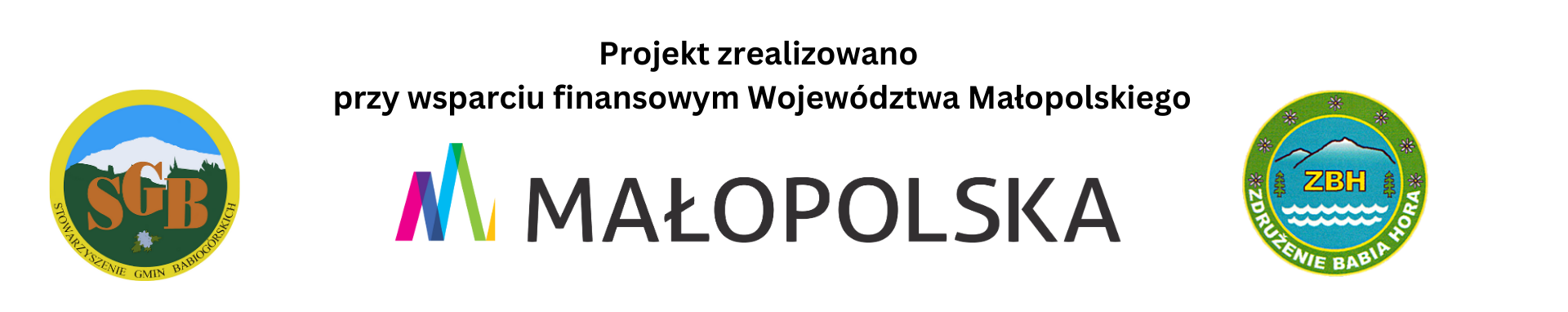 Projekt zrealizowano przy wsparciu finansowym Województwa Małopolskiego 2